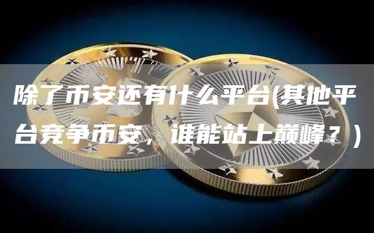 除了binanc还有什么平台 - 其他平台竞争binanc，谁能站上巅峰？